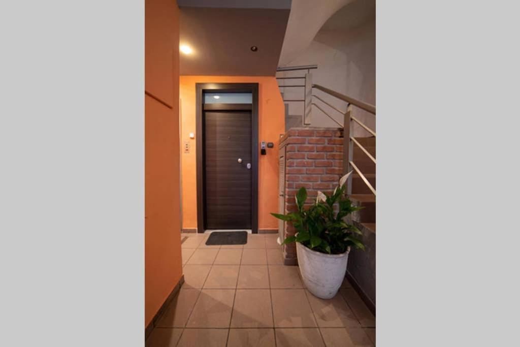 Brand New Aprt With Backyard In Lycabettus Hill ! Lejlighed Athen Eksteriør billede